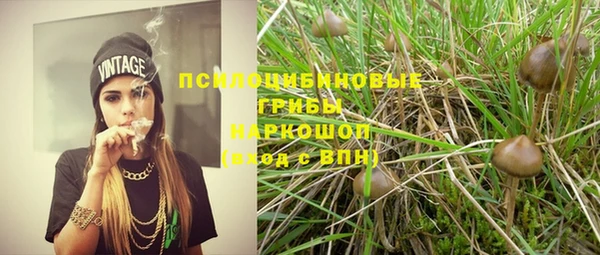 кокс Алзамай
