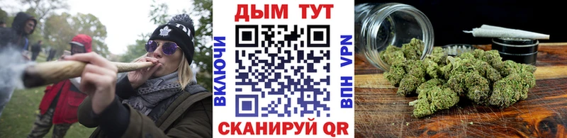 купить наркотики сайты Змеиногорск Каннабис гибрид